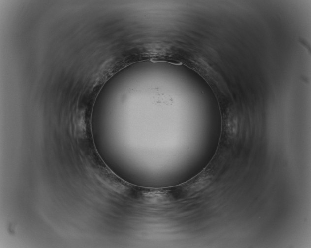 X0000103480516200809121653