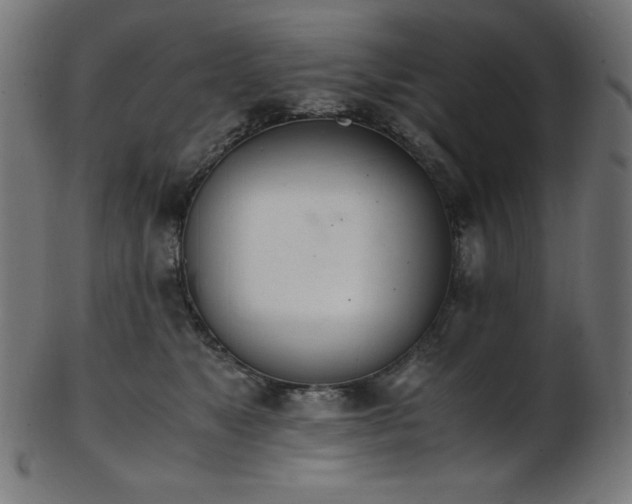X0000103480517200809121653