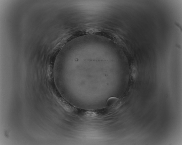 X0000103480519200809121653