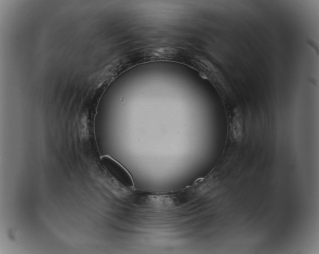 X0000103480520200809121653