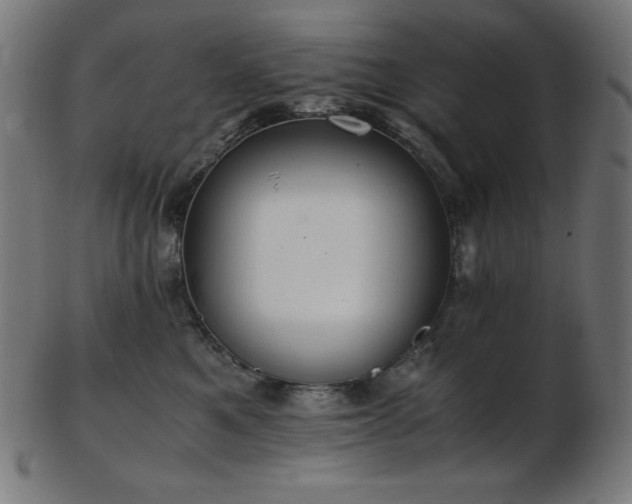 X0000103480521200809121653