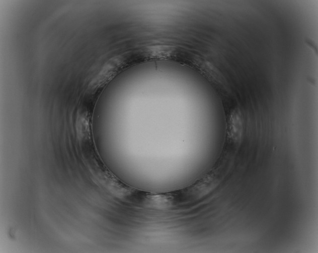 X0000103480522200809121653