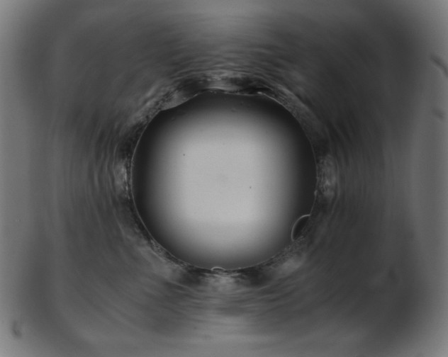 X0000103480523200809121653