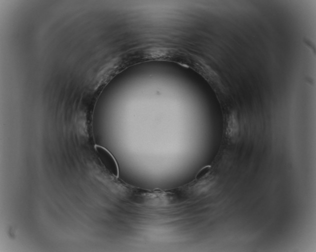 X0000103480524200809121653