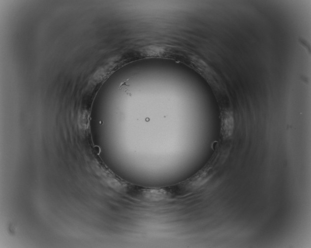 X0000103480525200809121653
