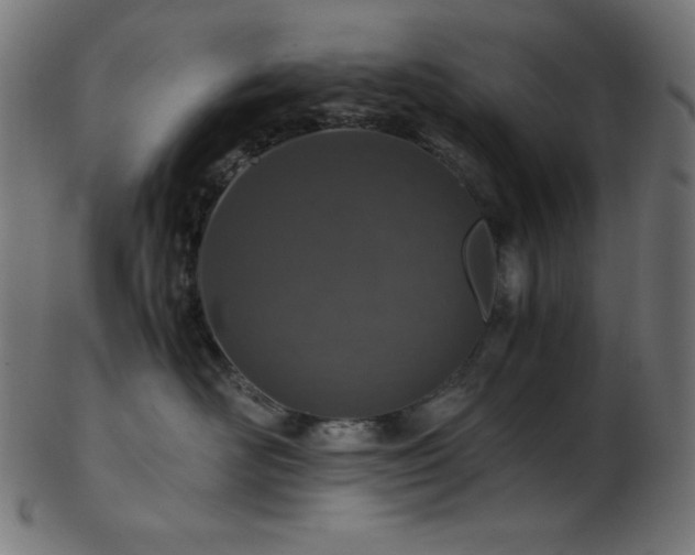 X0000103480526200809121653