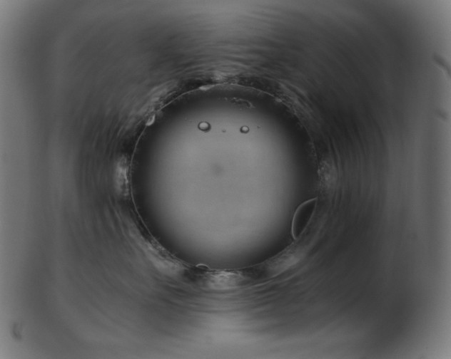 X0000103480527200809121653
