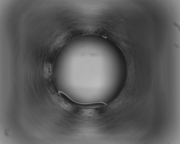 X0000103480528200809121653
