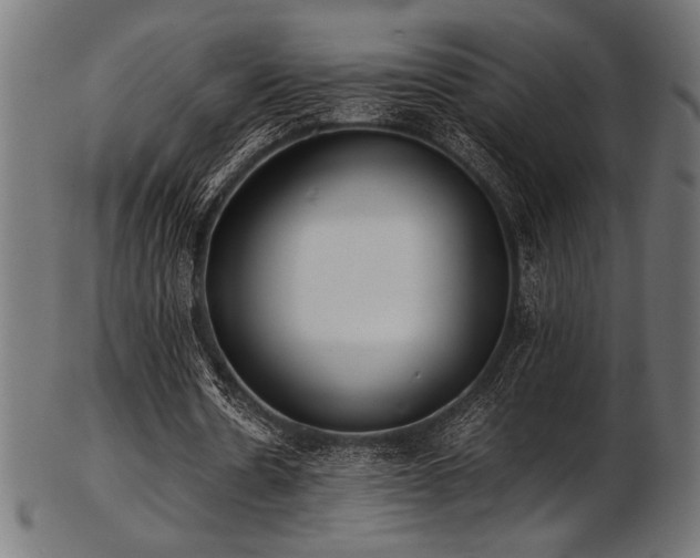 X0000103480530200809121652