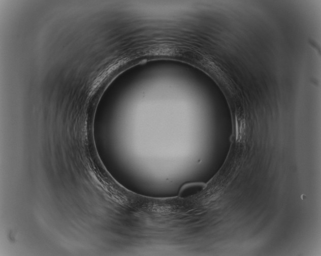 X0000103480531200809121652
