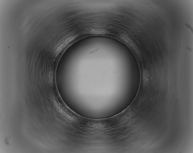 X0000103480533200809121652