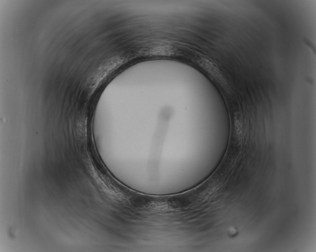 X0000103480534200809121652