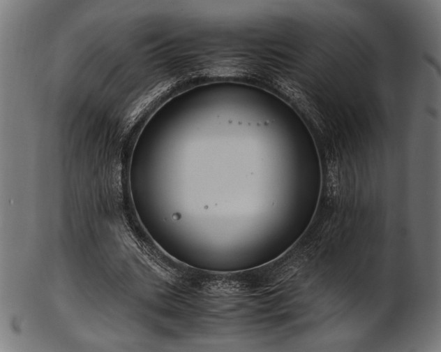 X0000103480535200809121652