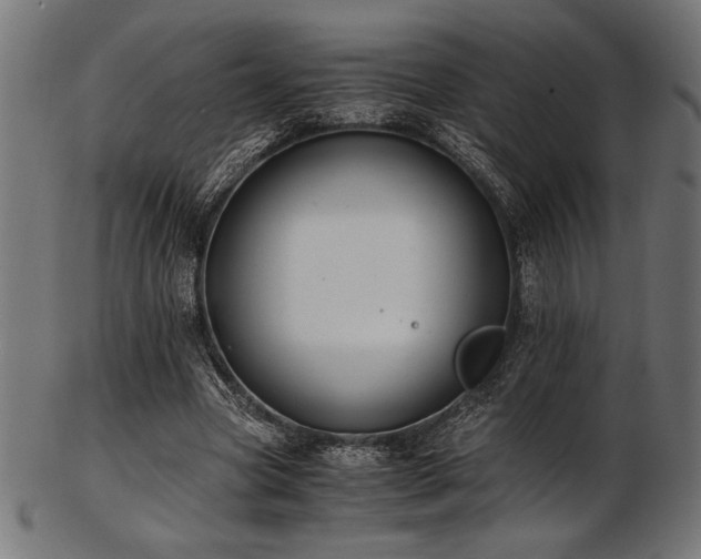 X0000103480537200809121652