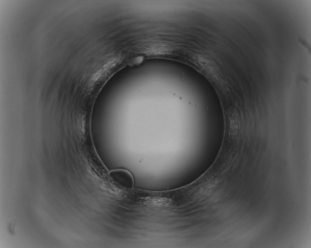 X0000103480539200809121652