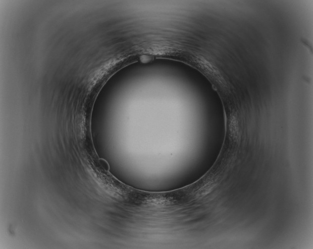 X0000103480540200809121652