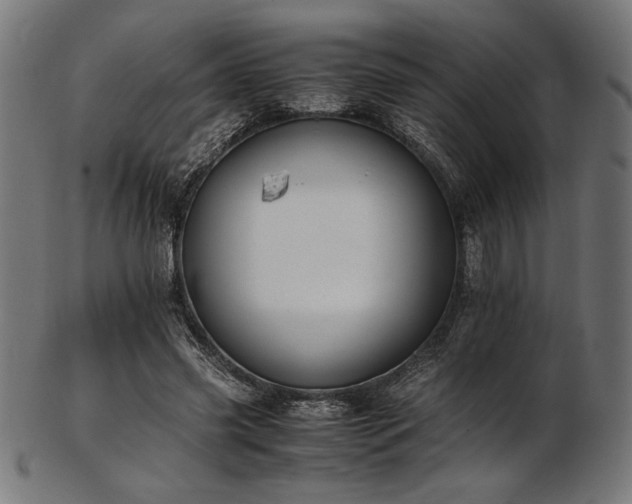 X0000103480541200809121652