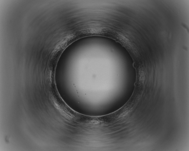 X0000103480542200809121652
