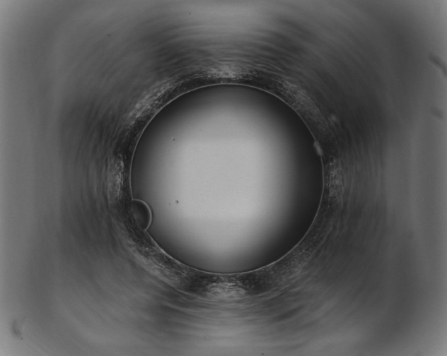 X0000103480544200809121652