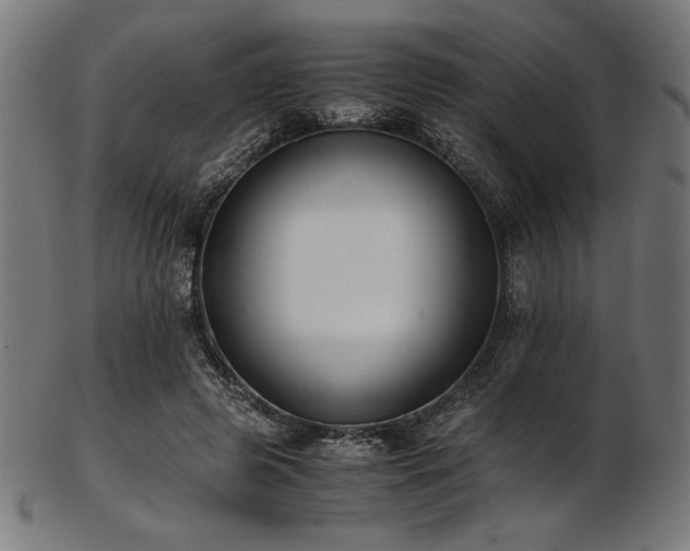X0000103480545200809121652