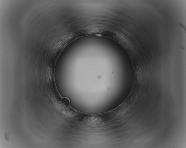 X0000103480546200809121652