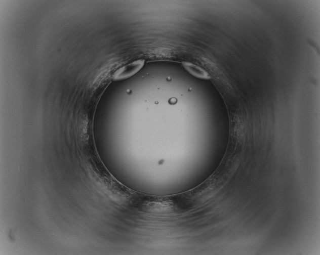 X0000103480548200809121652