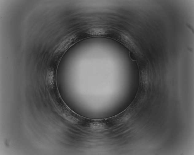 X0000103480549200809121652