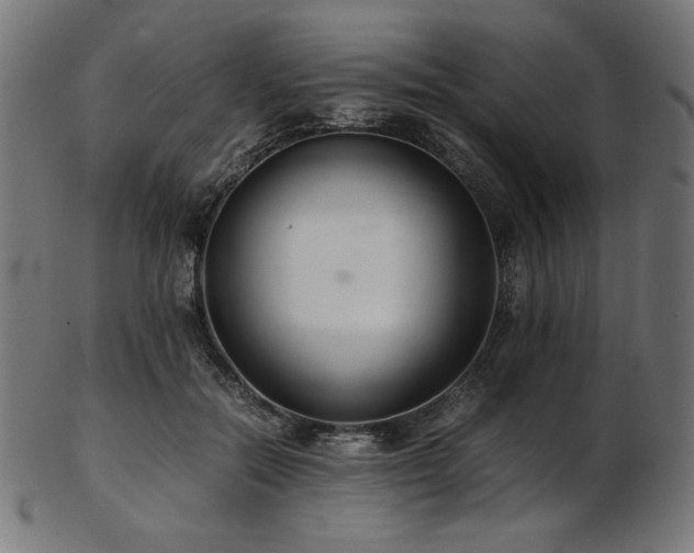 X0000103480554200809121652