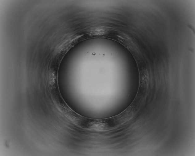X0000103480555200809121652
