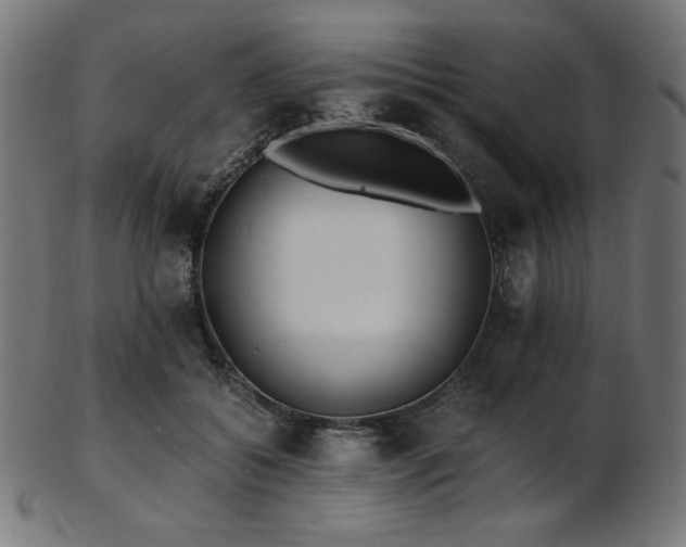 X0000103480556200809121652