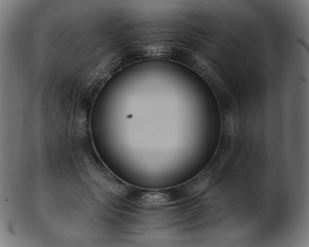 X0000103480557200809121652