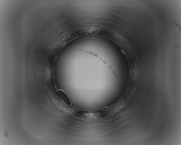 X0000103480558200809121652