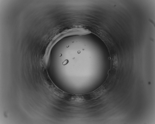 X0000103480559200809121652