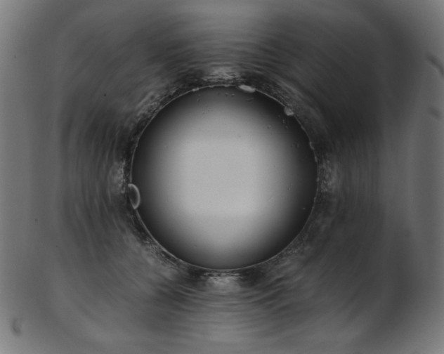 X0000103480560200809121652