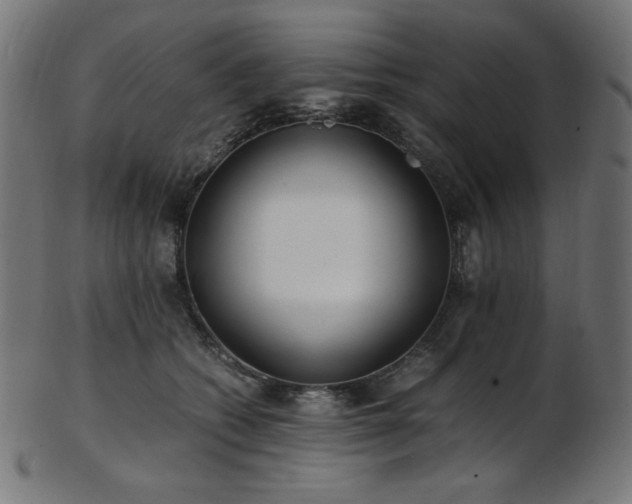 X0000103480562200809121652