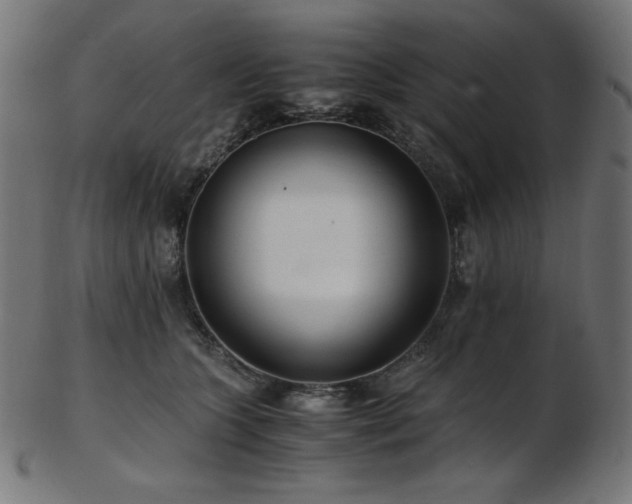 X0000103480563200809121652