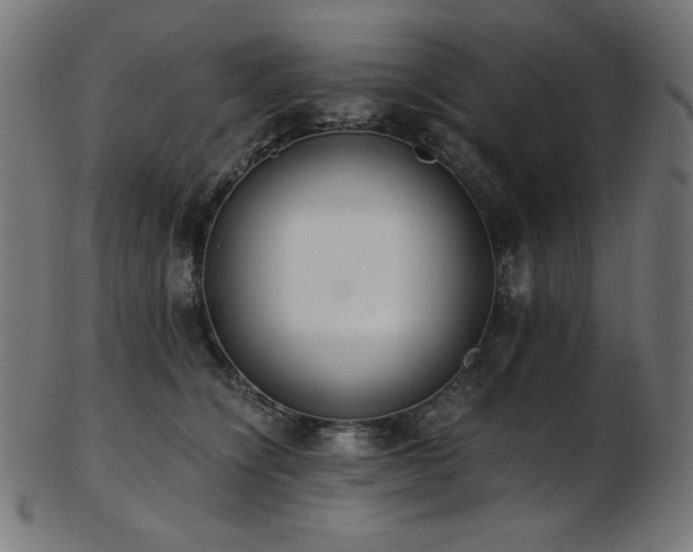X0000103480564200809121652