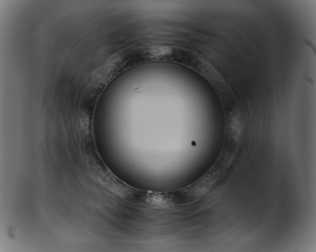 X0000103480565200809121652