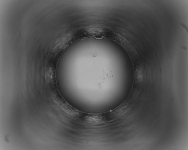X0000103480567200809121652
