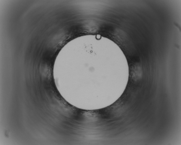 X0000103480568200809121652