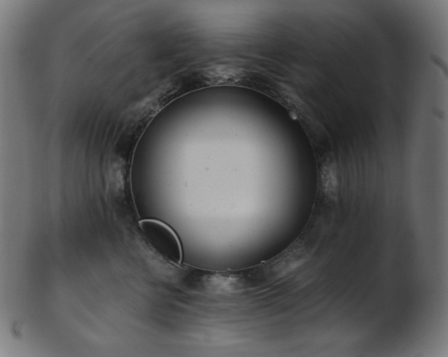 X0000103480570200809121653
