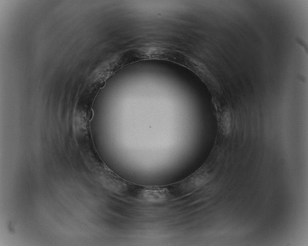 X0000103480571200809121653