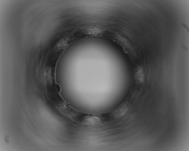X0000103480572200809121653