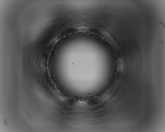 X0000103480573200809121653