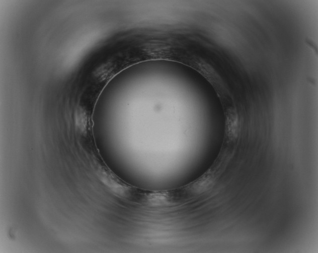 X0000103480574200809121653