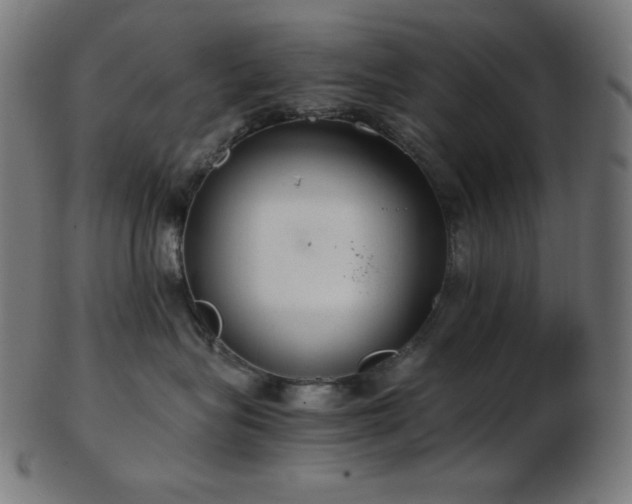 X0000103480575200809121653
