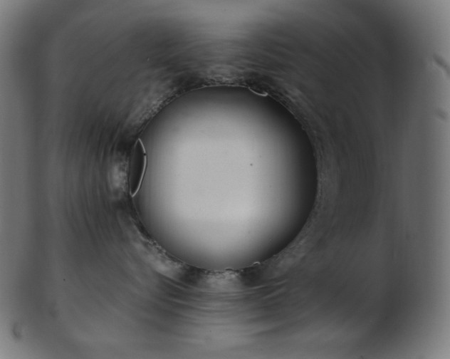 X0000103480576200809121653
