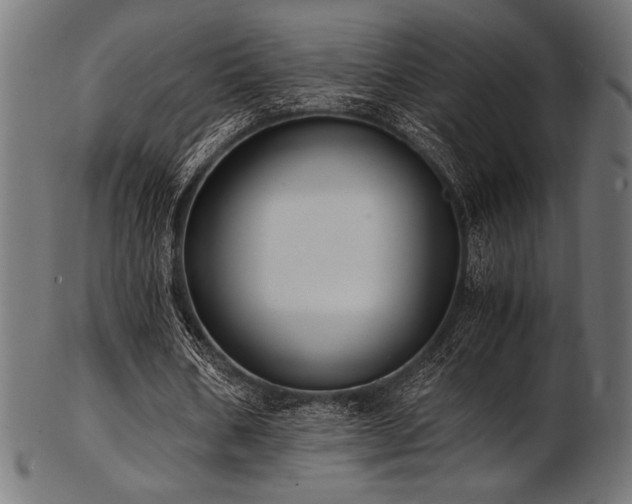 X0000103480578200809121652