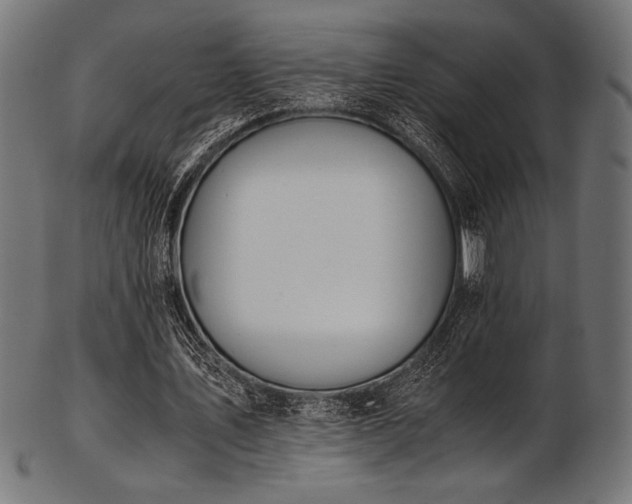 X0000103480579200809121652