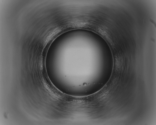 X0000103480582200809121652